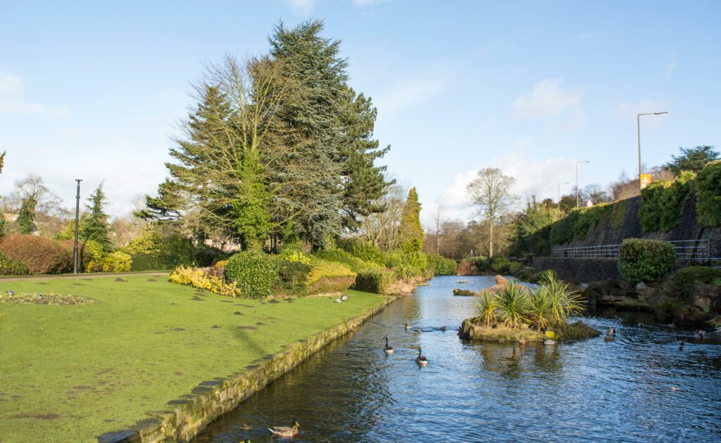 Belper River Gardens with ducks swimming in the river, representing Premier Community's Home Care in Belper