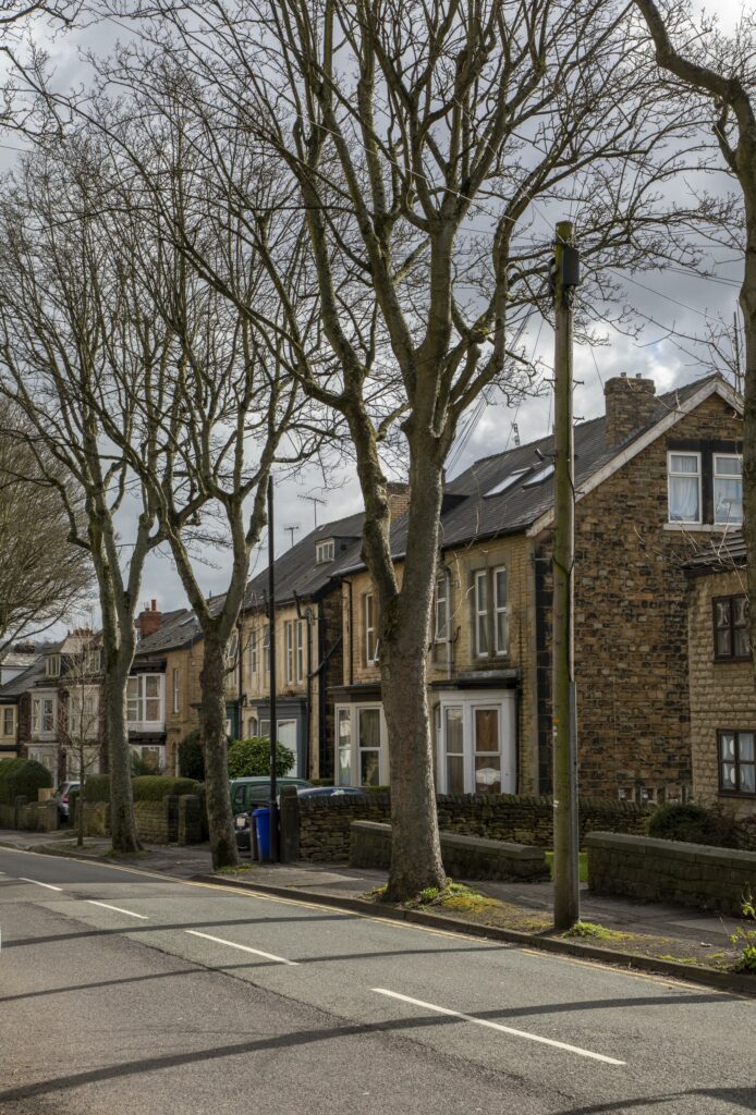 Tree lined street of traditional stone houses in Nether Edge Sheffield, representing Premier Community's home care in Sheffield
