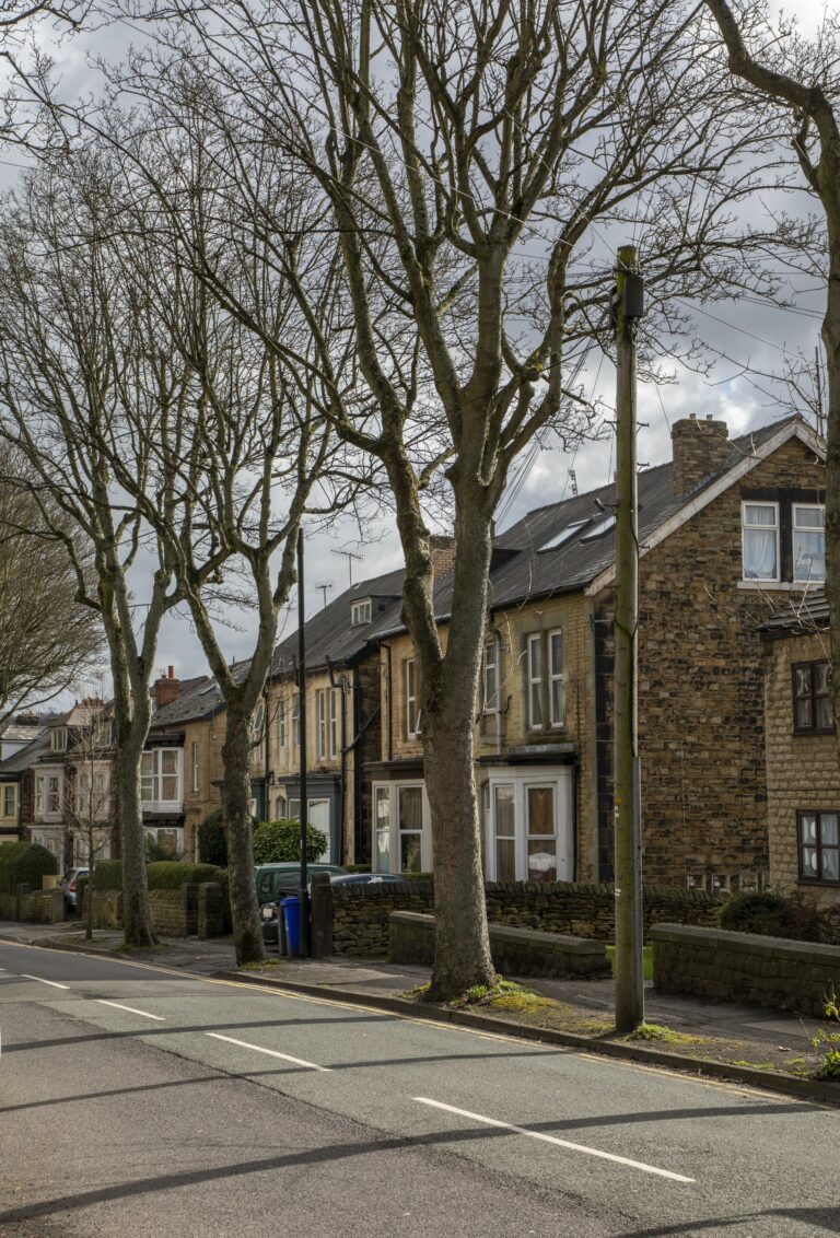 Tree lined street of traditional stone houses in Nether Edge Sheffield, representing Premier Community's home care in Sheffield