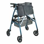 EZ Fold-N-Go Rollator on a white background.