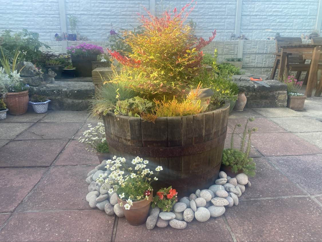 Premier Community's Garden Show Winners