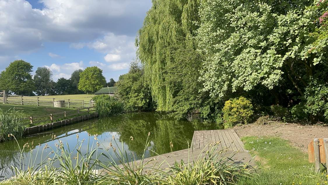 Premier Community's Garden Show Winners